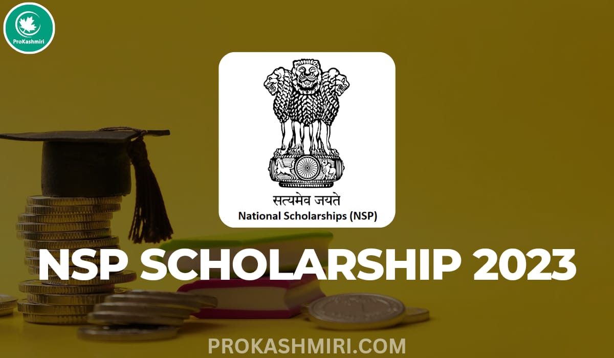 Track your NSP Scholarship Payment with ease: Step-by-step guide now ...